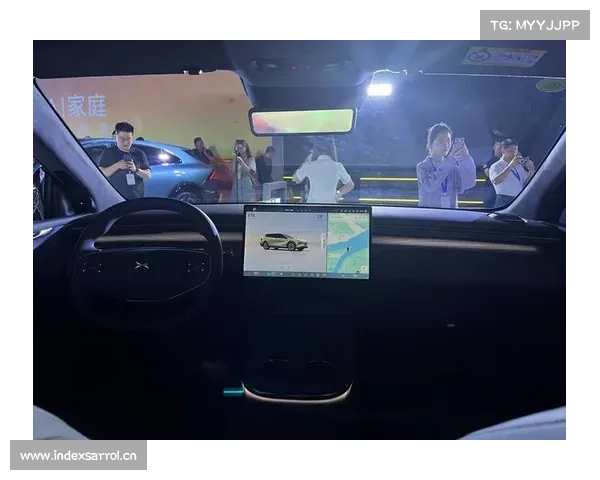 全新小鹏P7中国首秀：搭载3颗图灵AI芯片，中控屏会点头